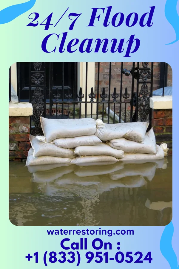 24/7 Flood Cleanup in Medina, MN