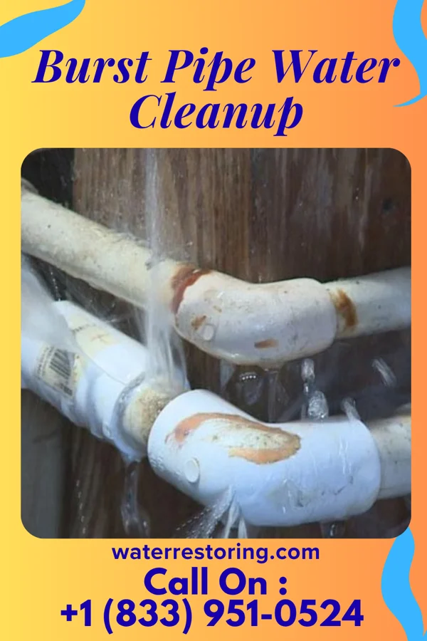 Burst Pipe Water Cleanup in Medina, MN
