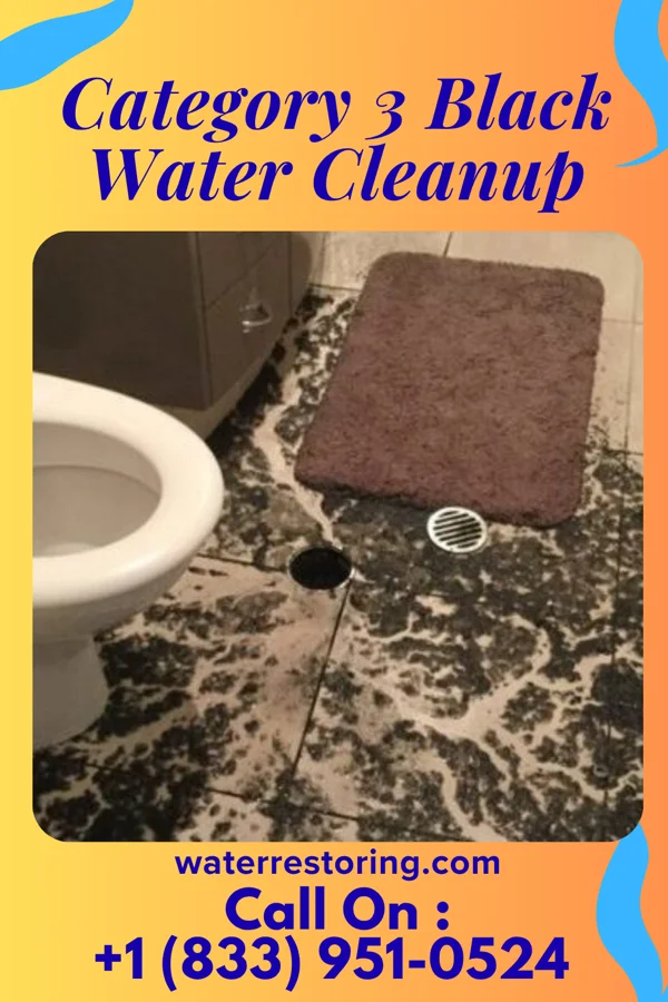 Category 3 Black Water Cleanup in Medina, MN
