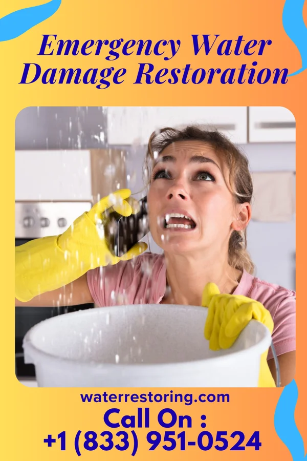 Emergency Water Damage Restoration in Medina, MN