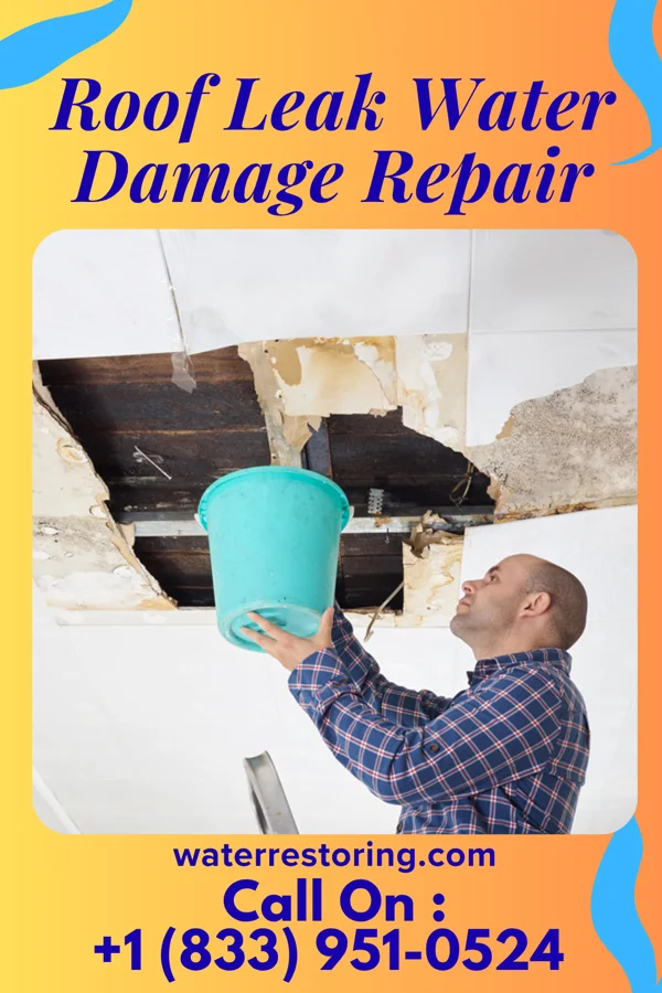 Roof Leak Water Damage Repair in Medina, MN
