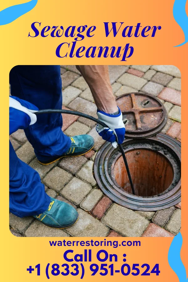 Sewage Water Cleanup in Medina, MN