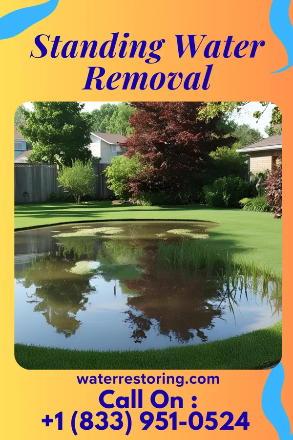 Standing Water Removal in Medina, MN